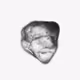 102725820866837655748573043304532297708028212094602244570324244780201814261761