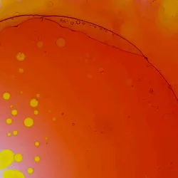 32000915767808189909713509440499411710325983035558635769524052863380187250689