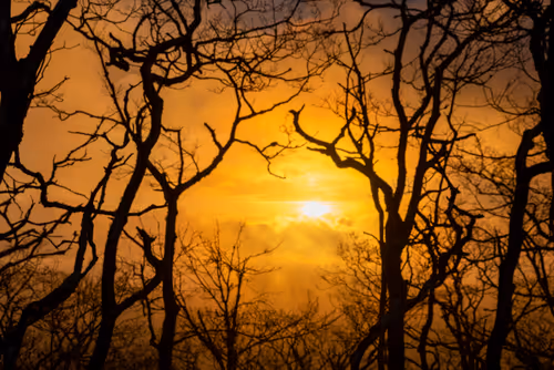 Item #27268559498061748325784621046965527840934976554079147599746578497944466489345 Media