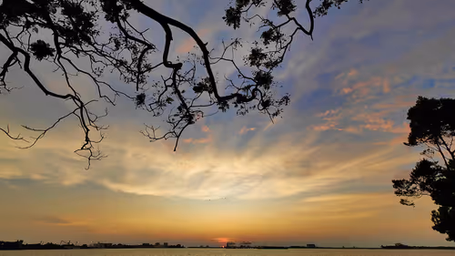 Item #112565134570363660980689344901372222935484239072176647114727973329788297281537 Media