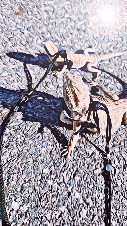 Item #101057092378302225736757120765437198261046760691228806068408149984775478706177 Media