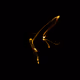 63037745284641273689791365454007207968865988027486405088512652468615869628417