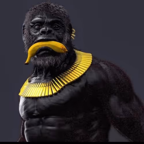 Untitled Collection #12811597