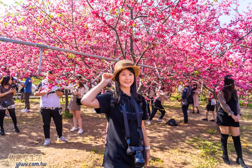 Item #100744422725674417057824683306763013505668843176654858816283483928533978316801 Media