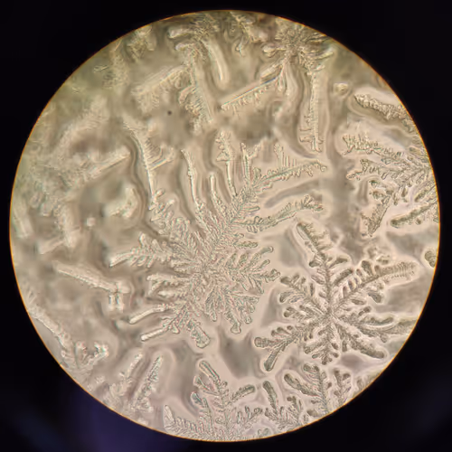 Item #62240634126339665255935216613930032748570971978285931848338238763237438914561 Media