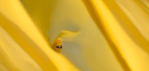 Item #78738558394879565749295301770975625214035895041037527328958806092141457047553 Media