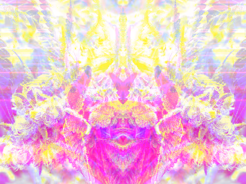 Item #83970981387443879143921485150900069530799783516997234463864977598558983159809 Media