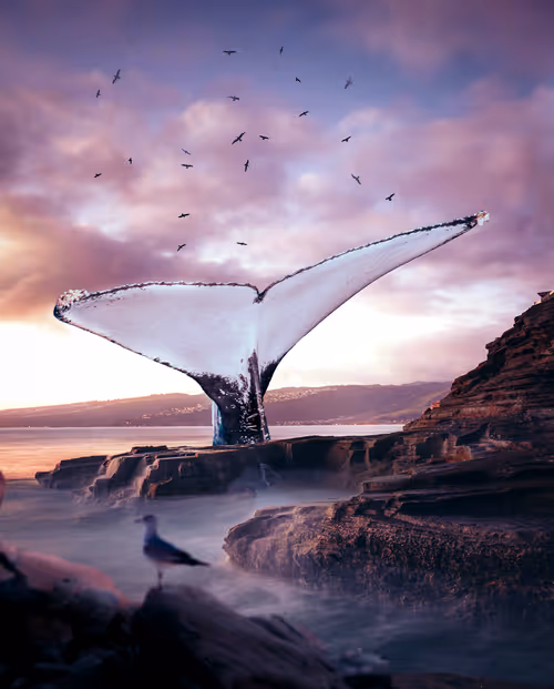 Item #5120042332681476466632520770121700592134821440612237730621647054129464344577 Media