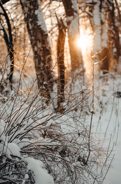 Item #89749655781633695214918973850275472722969414754438239918620403785335383785473 Media