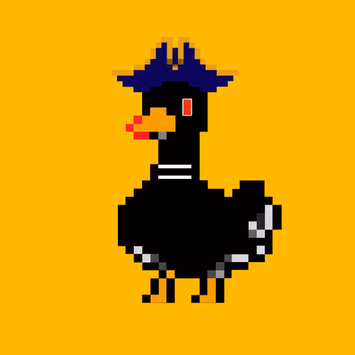 Quazy Quacker 71