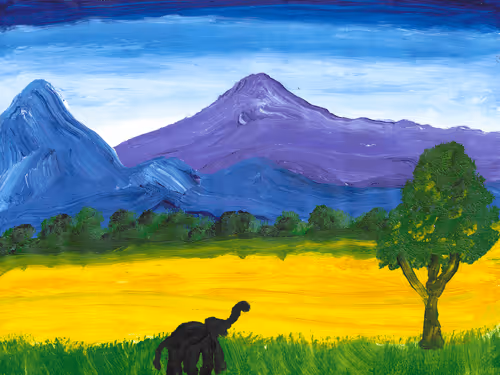 Natural Collection | 1x0