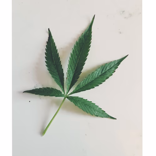 LuckyLeafs 1/2  MELLO