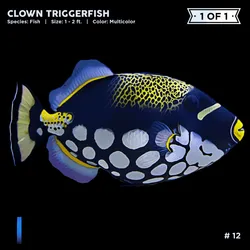 72122608948950586905896945235695353296847960895015423047944334414908972072961