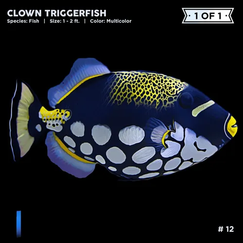 Item #72122608948950586905896945235695353296847960895015423047944334414908972072961 Media