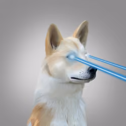 Nella