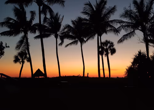 Item #32571599381915271373932081734413523199662368028101372806219517588640851034113 Media