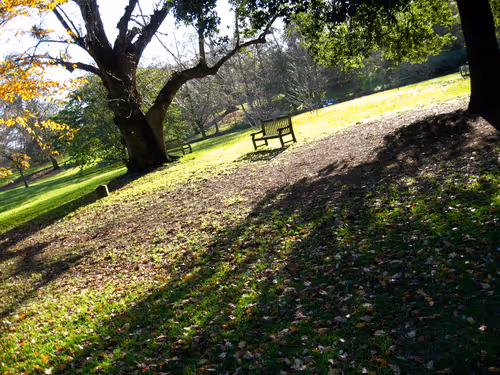 Item #98505864720922001648656537659628359174260094531059671424341493888838205964289 Media