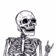 78809917984445193629453355448981337566123788958079234109983686542568839970817