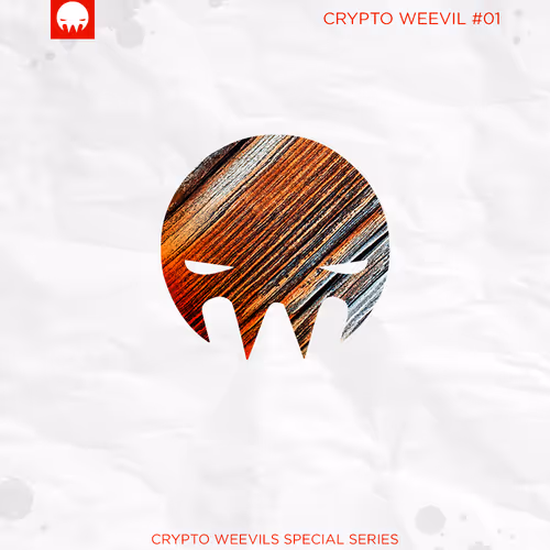 29314157866463614573355053931398882925484977285626546525081320685668193533953