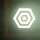 29550619123965256770790357023897856074935234348948399633949931731466011541505