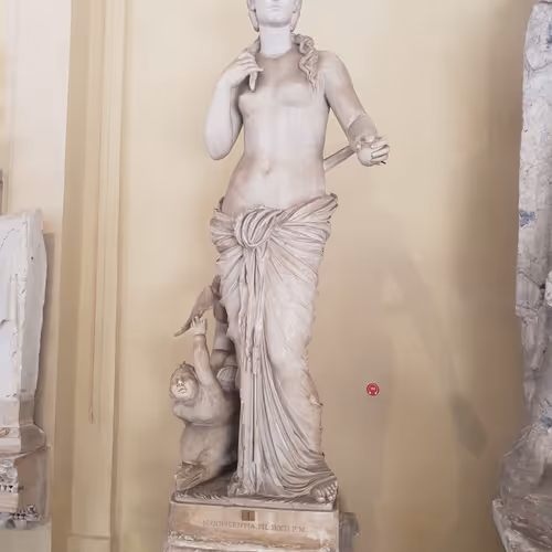 Untitled Collection #47437277