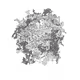 11761108081073924679948466955580817767288722782205669767010058588707321020417