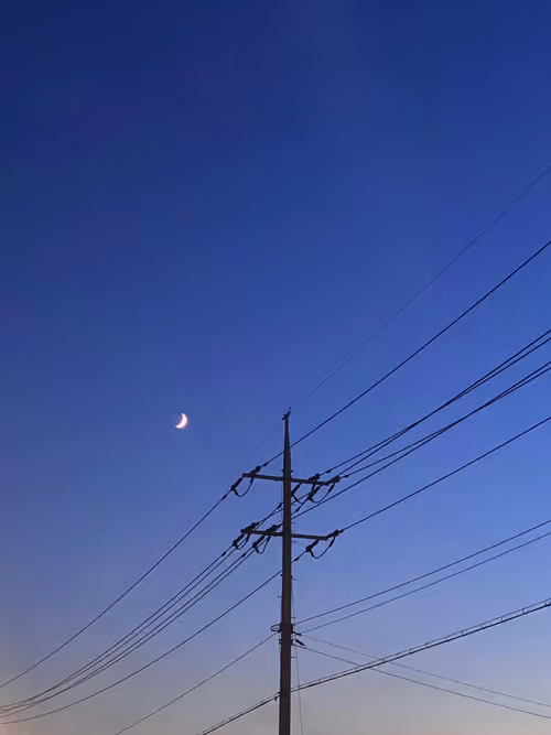 Item #93595123335427177115035649409809426481929941394150646237552609213293512359937 Media