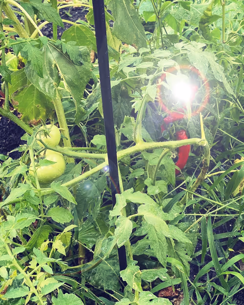 Item #101057092378302225736757120765437198261046760691228806068408149999069129867265 Media