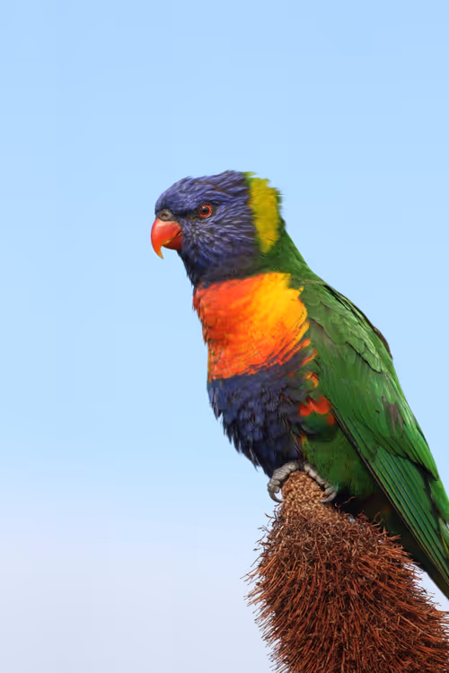 Item #38679742034539595231050778277230577149943789844640085041494942472689302896641 Media