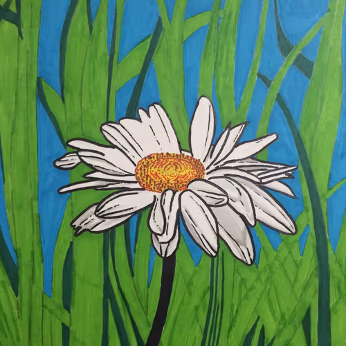 Untitled Collection #72207193