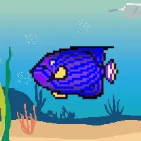 78964944229926021655968168462037545876501657311134209832205588211919390507009