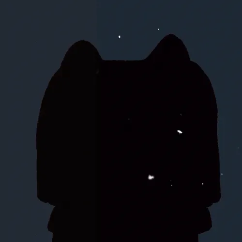 #17 Cat from nowhere