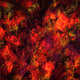 Dark Abstract Collection
