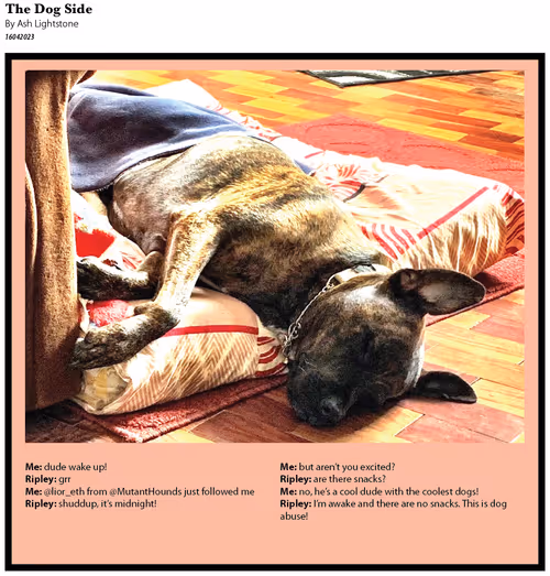 Item #626897290553149767847652691518108619534148298379556002124578604609024557061 Media