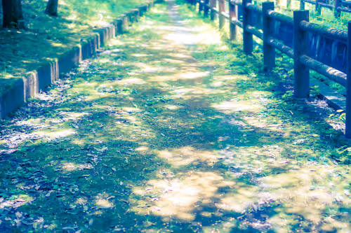 Item #87724672545568216492349628543176573267958151988335217142690977347705203851265 Media