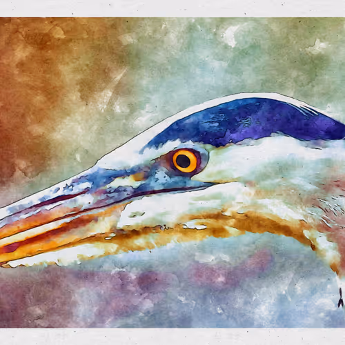 55704534837685659622621715309832868758345944585427688586690141398171668971521