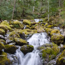 Mt. Si