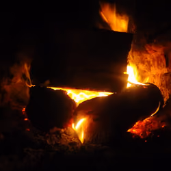 Fuego #16