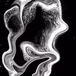 Unidentified Subject 1