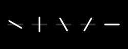 48576215123238521635503250326265380381346043224353098558951788087708294840321