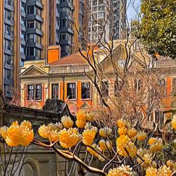 Shanghai #2