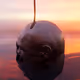 Ilya_Levit Collection