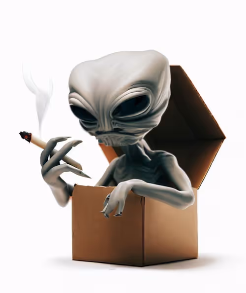 Item #14277311881460178374115963724086751935961278033824670158088343029531841396741 Media