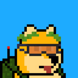 Dooggie #662