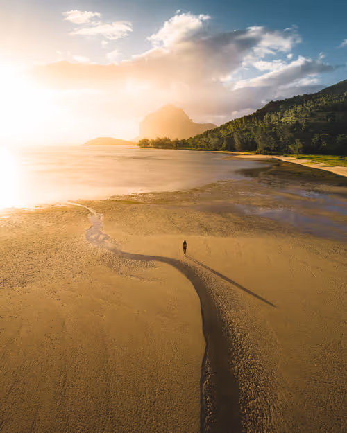 Item #82007330900791544464165619795045730741367351453180481103440088203526496321537 Media