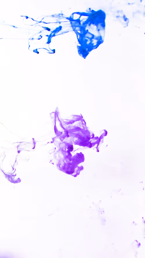 Item #31305712980941030161867633175304117506253559023819364015858336200814533541889 Media