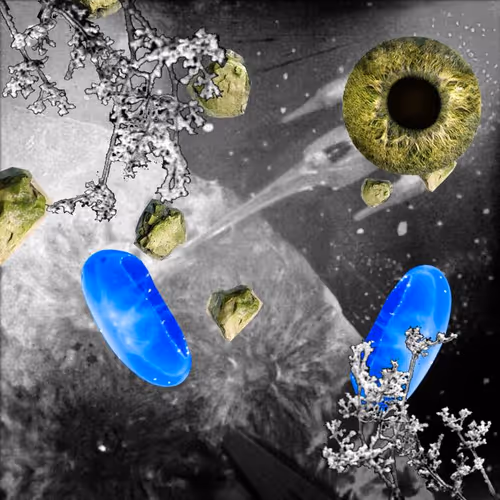 Item #99617095079910595980254990270876944363628162276742898399989141819219444236289 Media