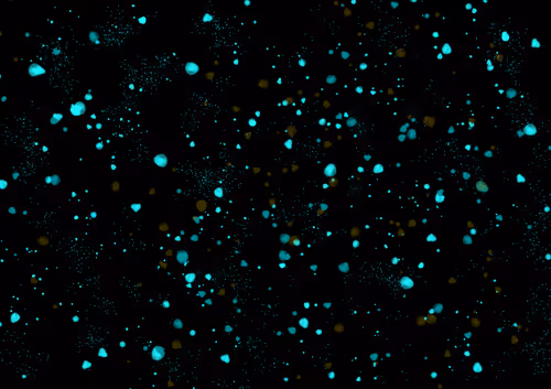 Item #2401879187841656023153325070646218170737928762084640237912640754881327529985 Media