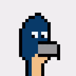 BitBird 941