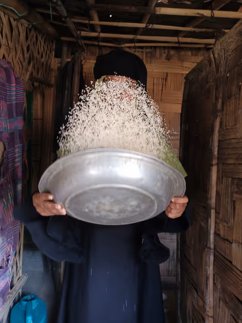 Item #28483083615204022371300351477704581571274768988091129970329682101059580854273 Media